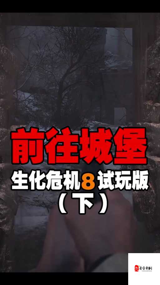 生化危机8:绯眼戒指的获得与作用深度解析——必看!